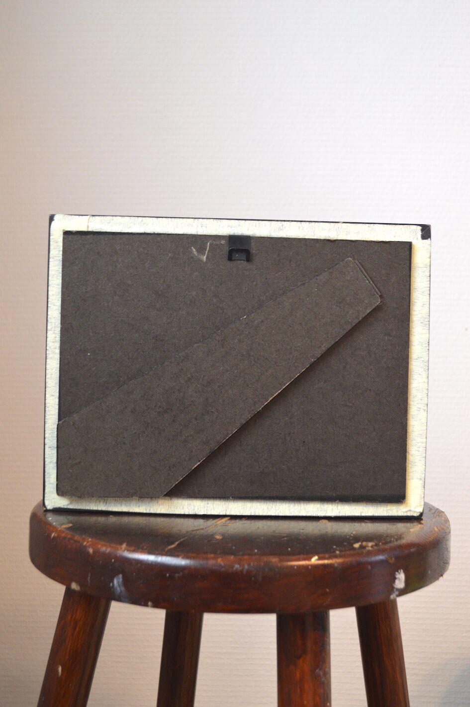 Naturalized butterfly from Africa 1997