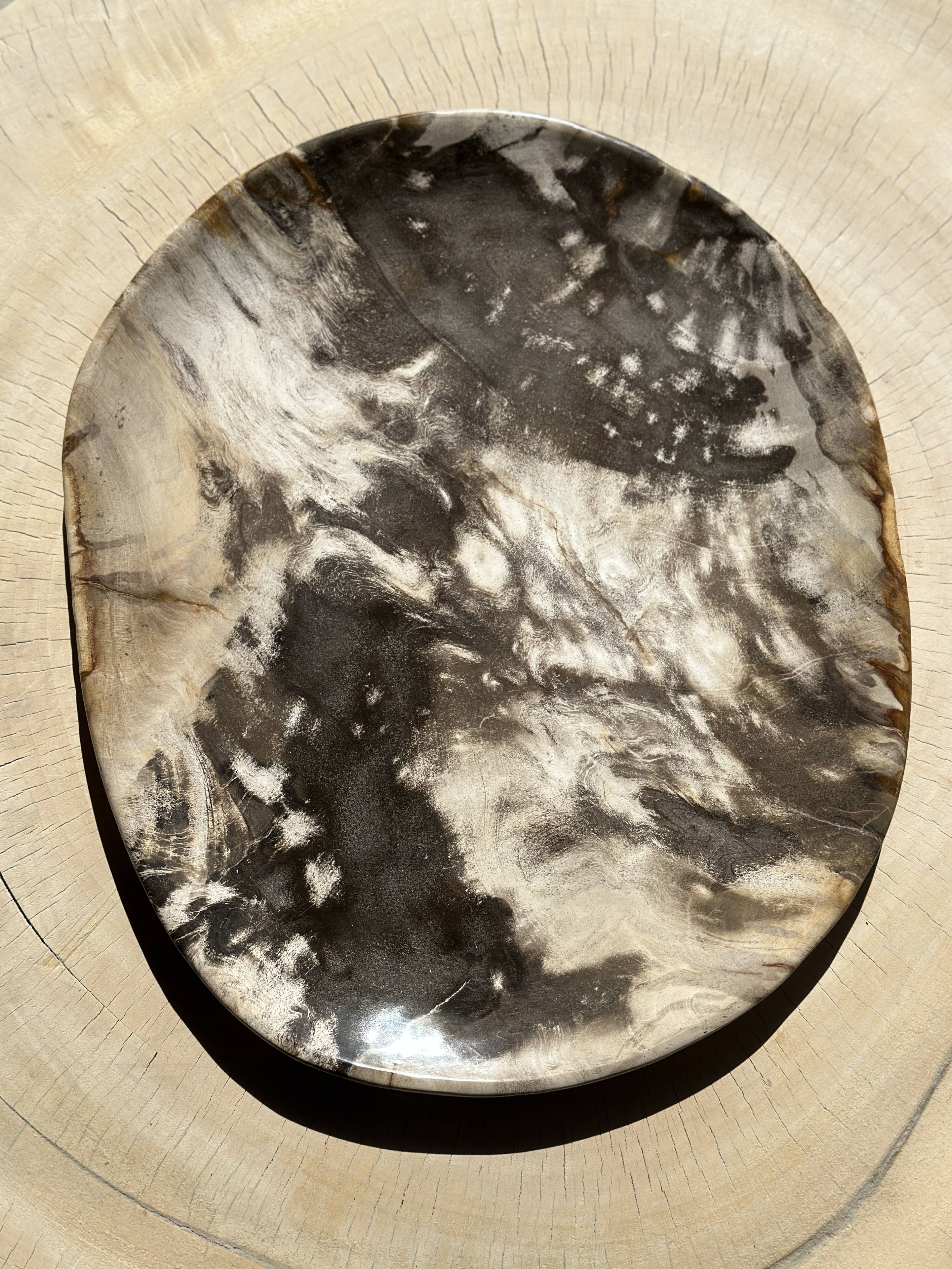 Very large pocket or dish in petrified wood