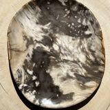 Very large pocket or dish in petrified wood
