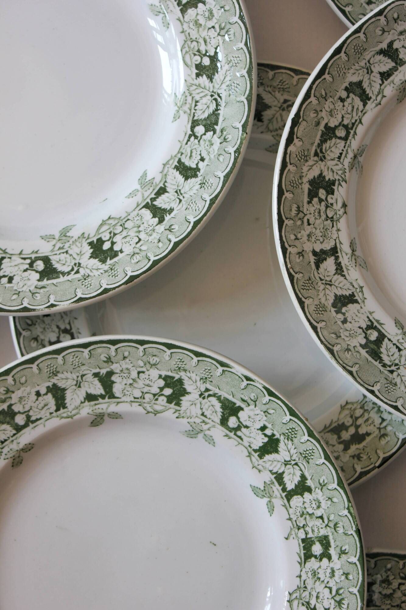12 flat plates in iron earth model "Mulberry" Saint Amand and Hamage early twentieth century