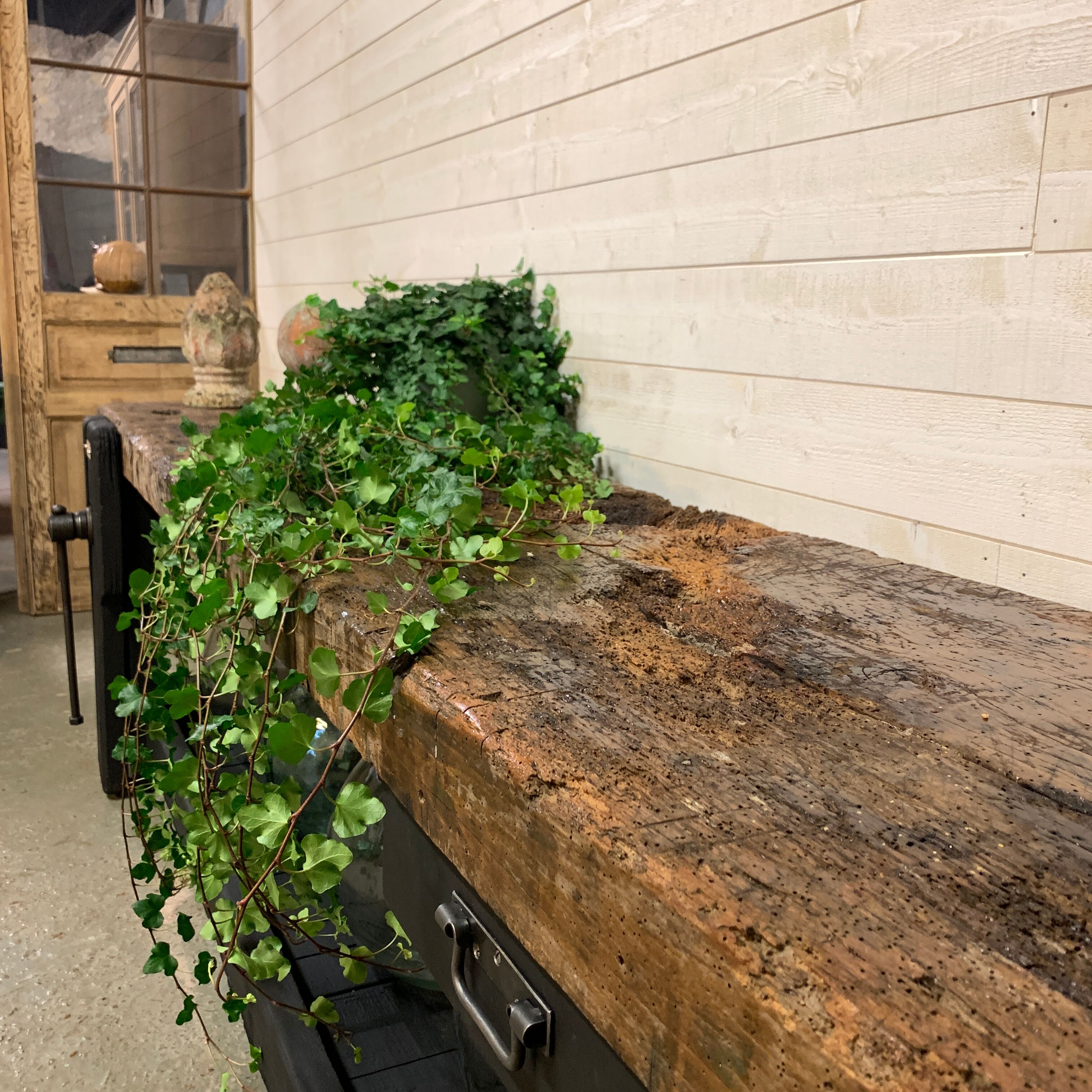 Large elm set, 1930s