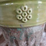 Pot / plant or flower in terracotta