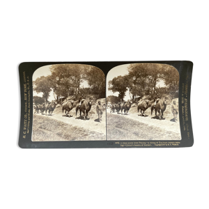 Photographie ancienne stereo, stereograph,