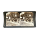 Old photography stereo, stereograph, luxury albumine 1903 camel line, Beijing, China