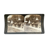 Old photography stereo, stereograph, luxury albumine 1903 camel line, Beijing, China