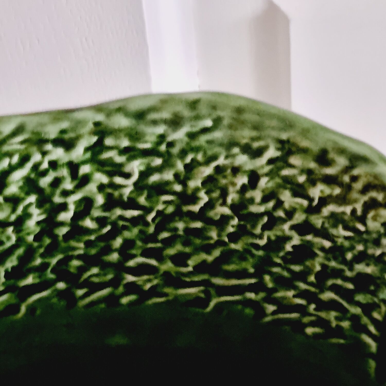 Cabbage slip salad bowl