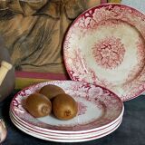 Five plates of earthenware from Pexonne 19th service "flowers"