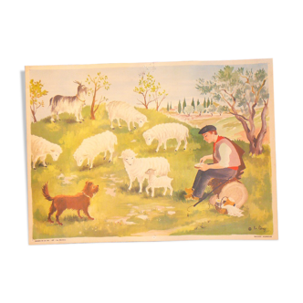 school map of editions stuffing series 23 sheep