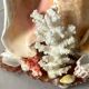 Lamp night light shell conch 1950 cabinet of curiosities seaside