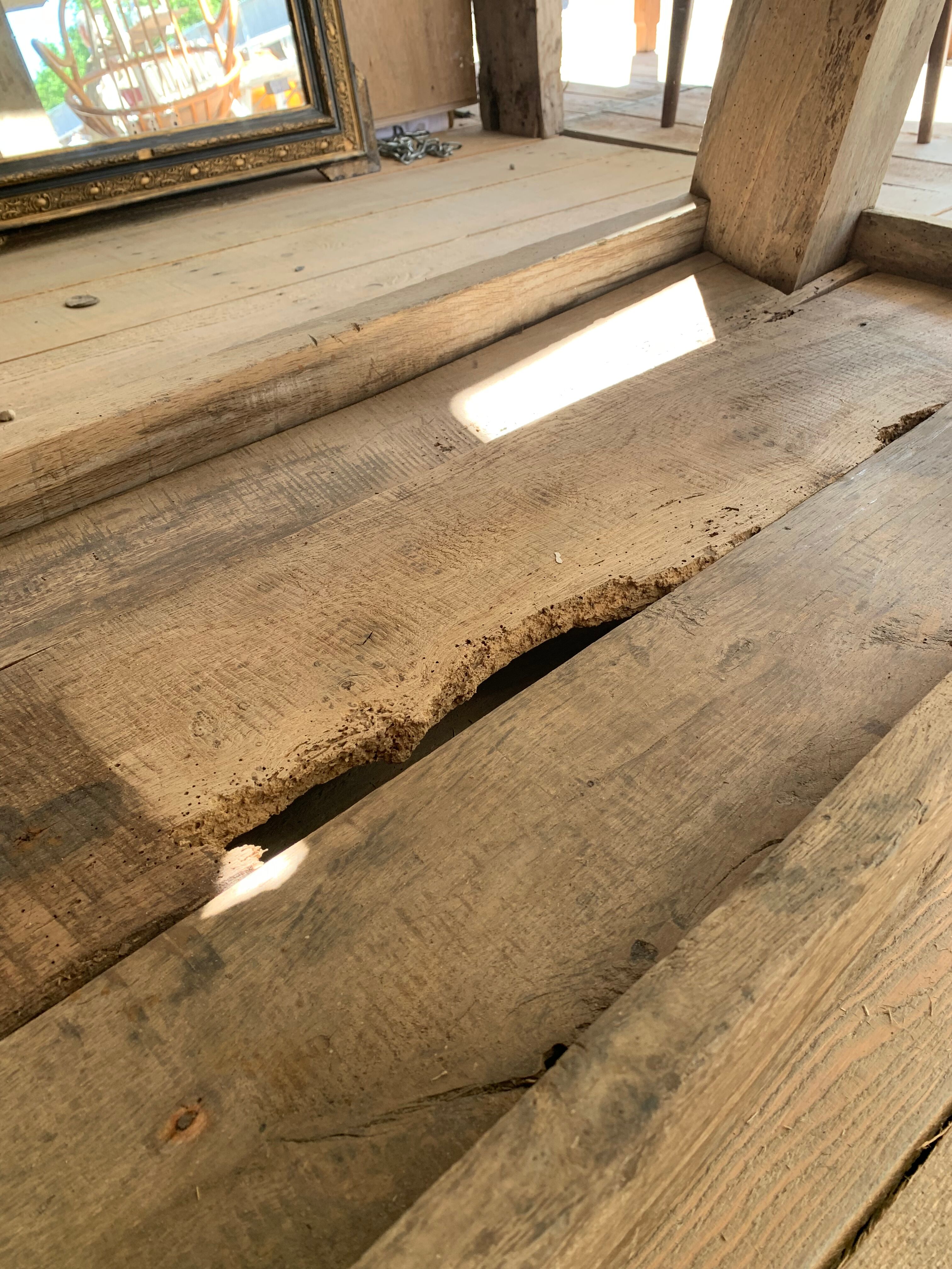 Oak and walnut workbench