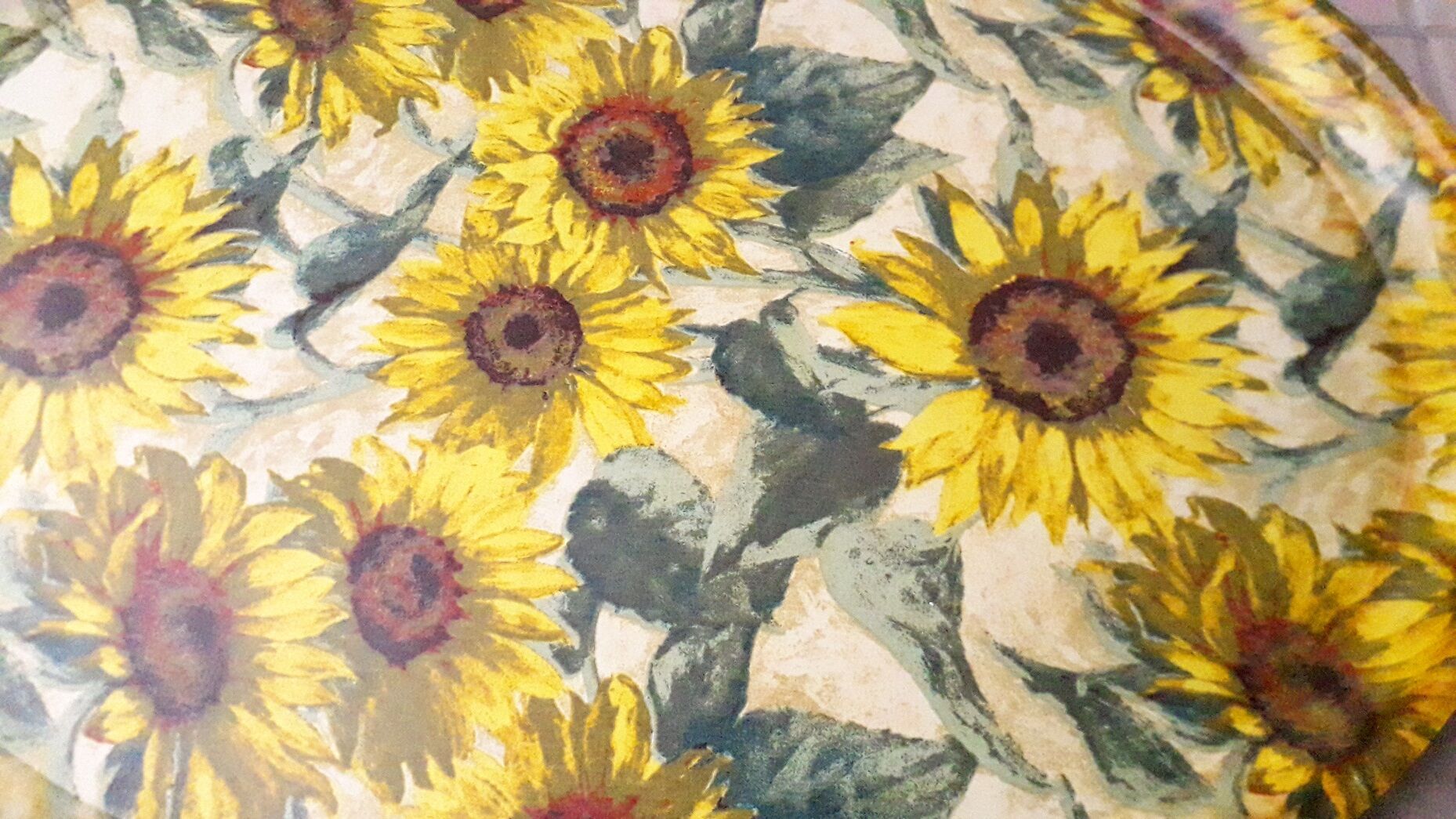 Sunflower tray