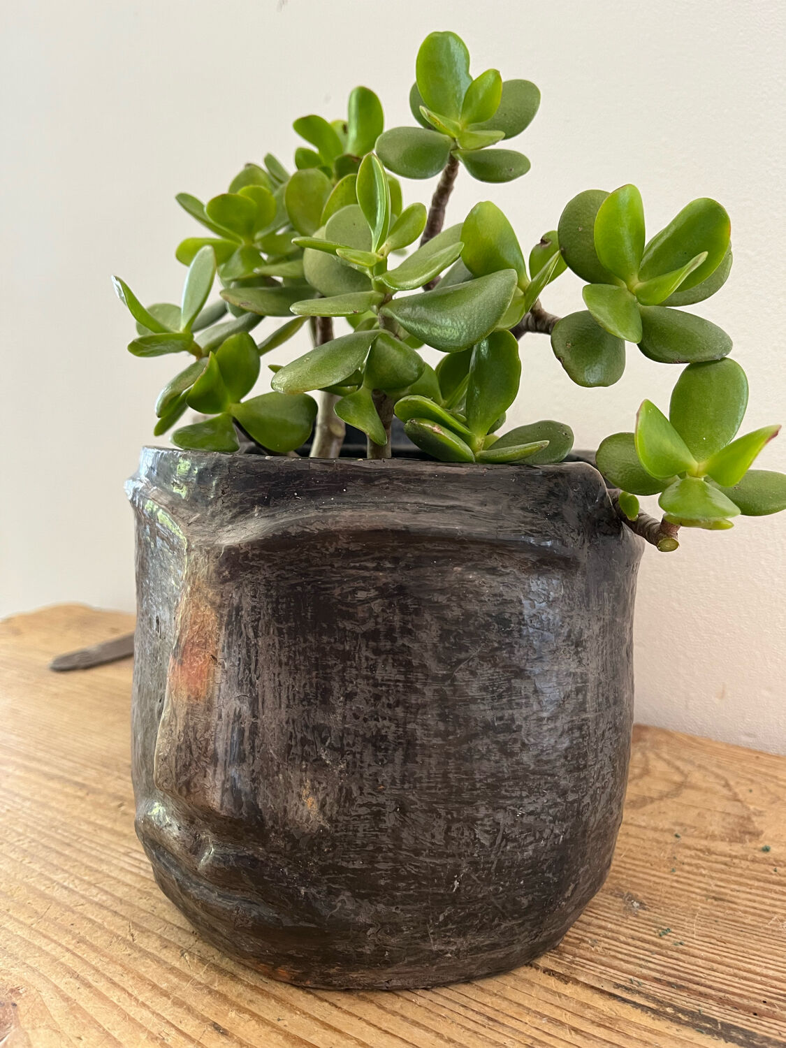 Terracotta head vase