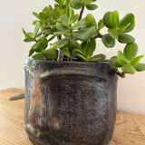 Terracotta head vase