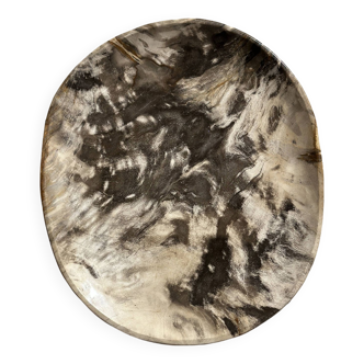 Very large empty pocket or dish in petrified wood
