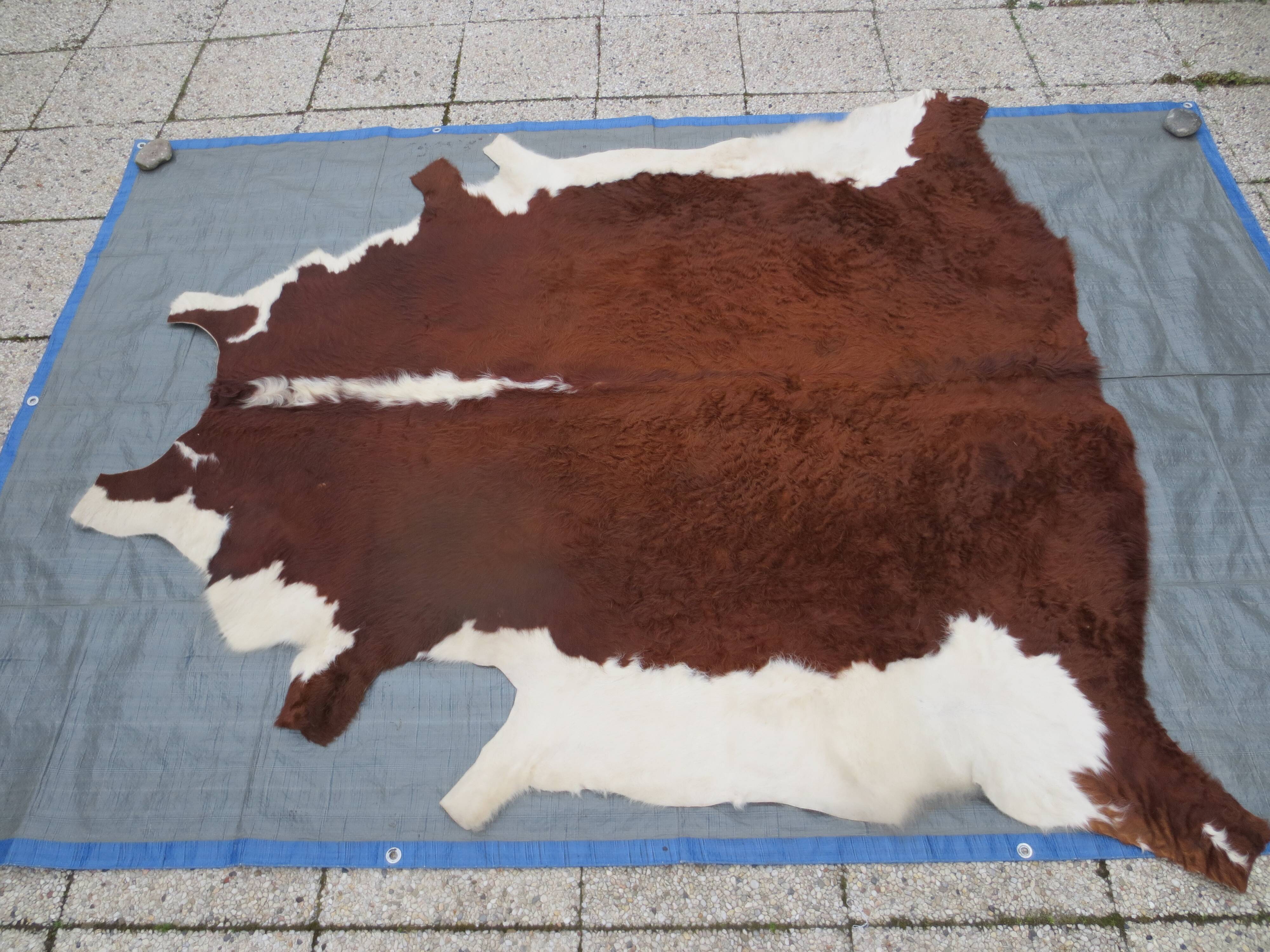 Cowhide color auburn and white 200x200cm