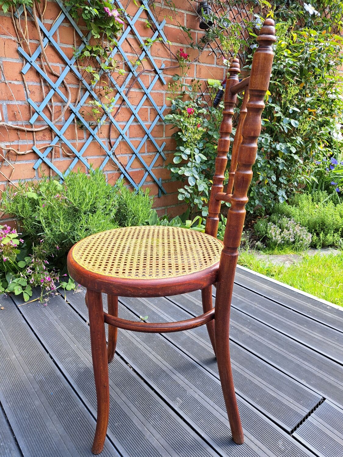 Set of 6 Fischel chairs in cane wood