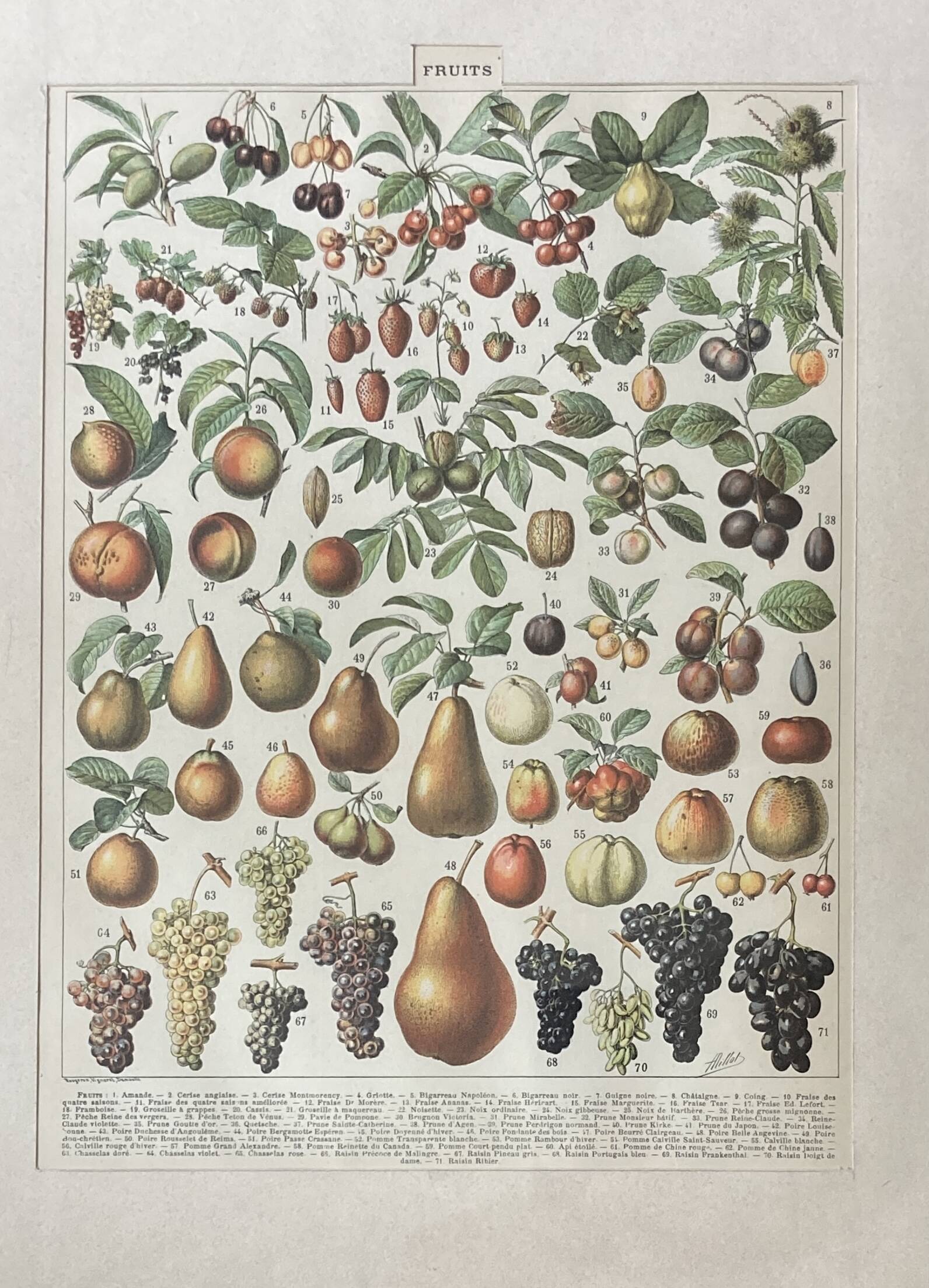 Decorative kitchen board - Fruit board - Golden frame