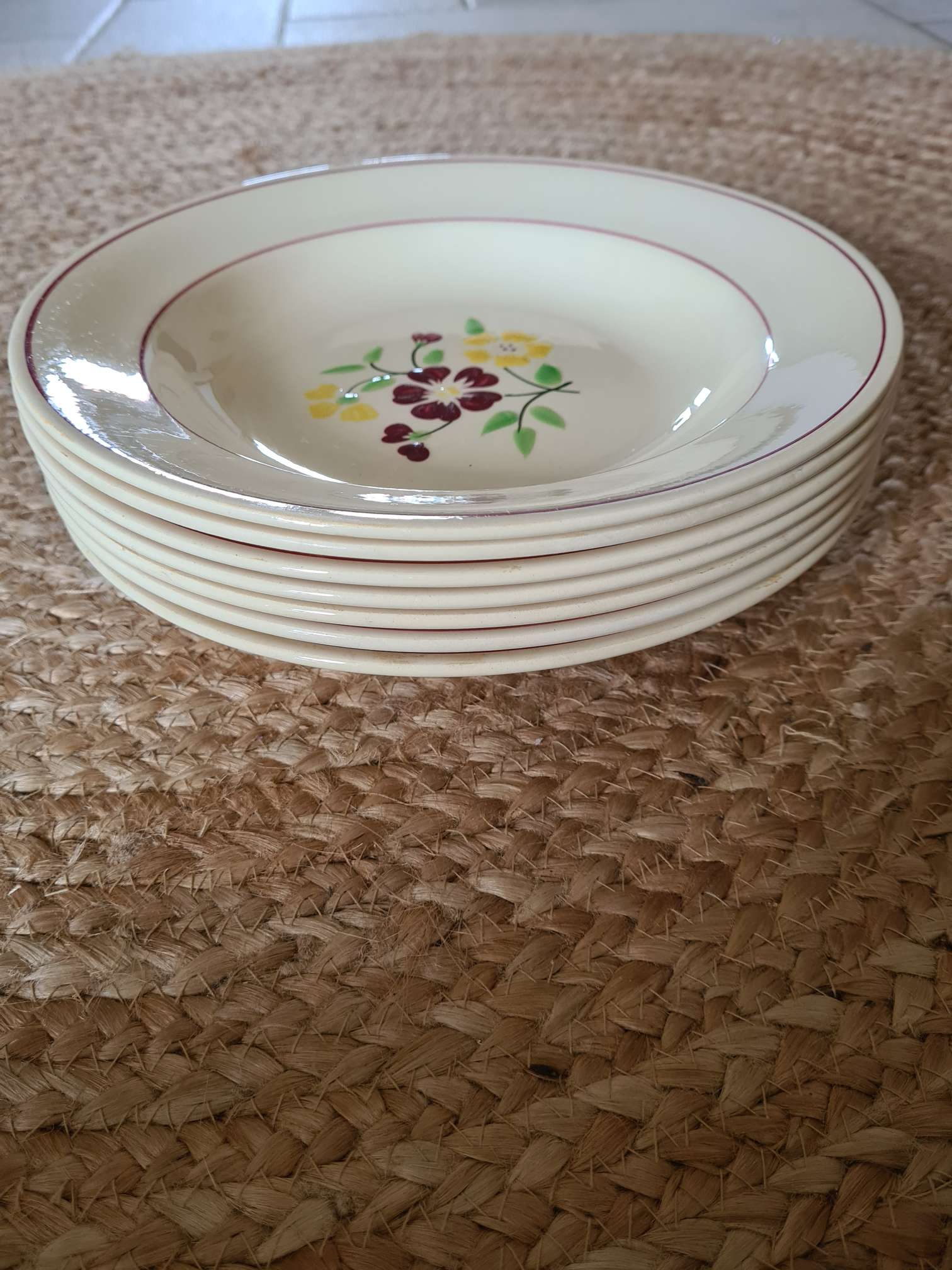 7 hollow earthenware plates from Salins