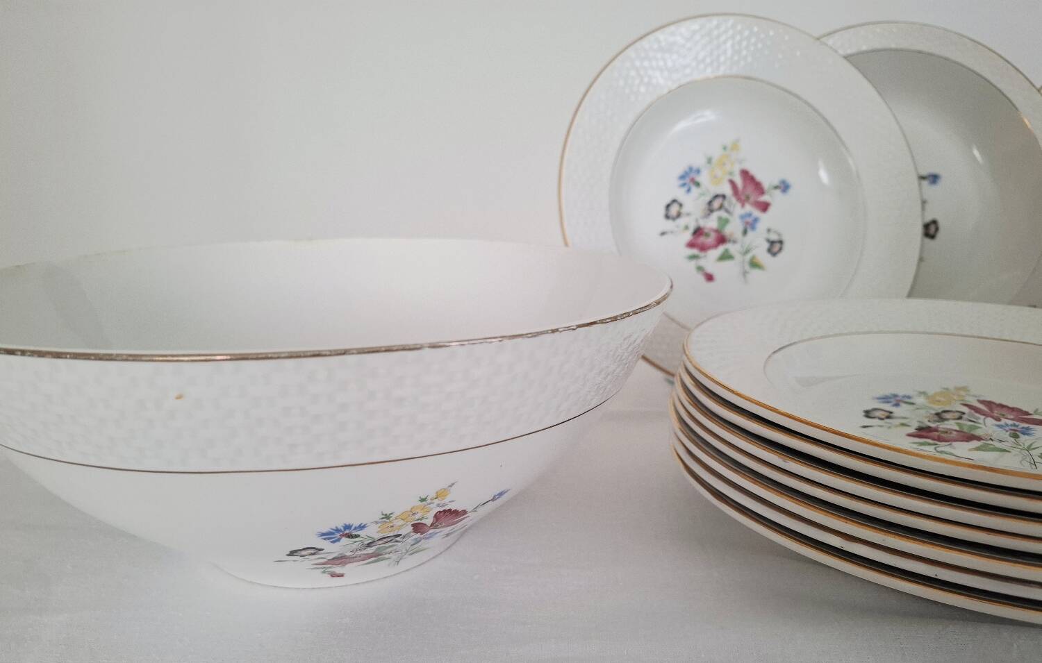 Antique Opaque Porcelain Dinner Service Digoin and Sarregue