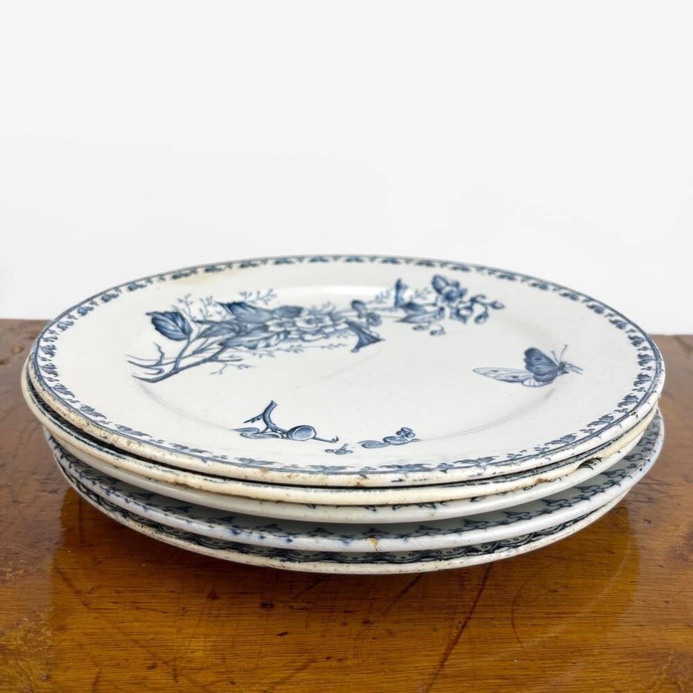 5 mismatched plates Terre de fer 1900