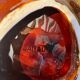 Vallauris shell tidy