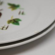 Lot de 2 assiettes  à dessert Rennes Digoin
