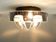 Vintage Model Crystal Palace Ceiling Lamp from Raak, 1970s