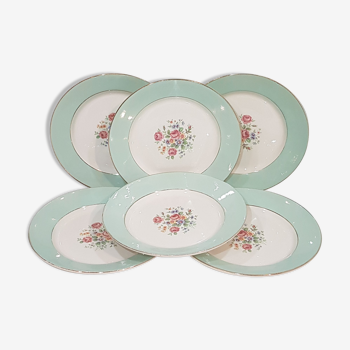 6 flat plates in opaque porcelain from Saint Amand and Hamage model Highness