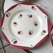 Set of 5 flat plates digoin sarreguemines model aigues-vives hand painted years 30-40
