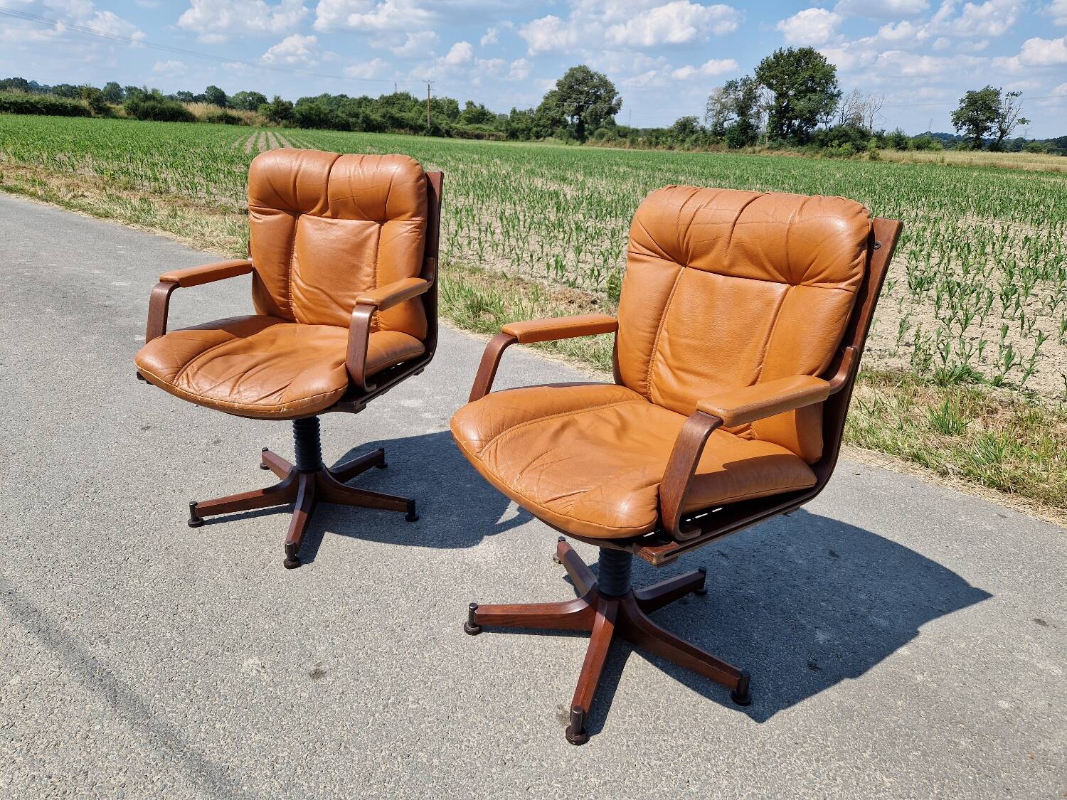 Set of 2 vintage Scandinavian armchairs co.fe.mo Italy 1970