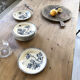 11 assiettes Terre de Fer Aubepine
