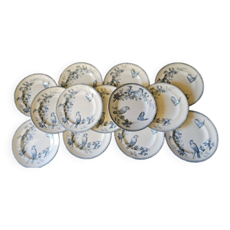 Lot de 12 assiettes anciennes Longwy – Modèle « Mésange