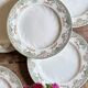 Lot de 6 assiettes plates anciennes - Bruges de Longwy