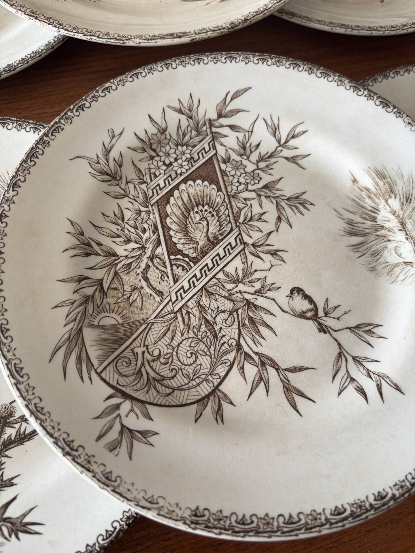 6 dessert plates iron earth sepia Grand Dépôt Earthenware