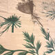 Old botanical plate of the house Deyrolle "The carrot"