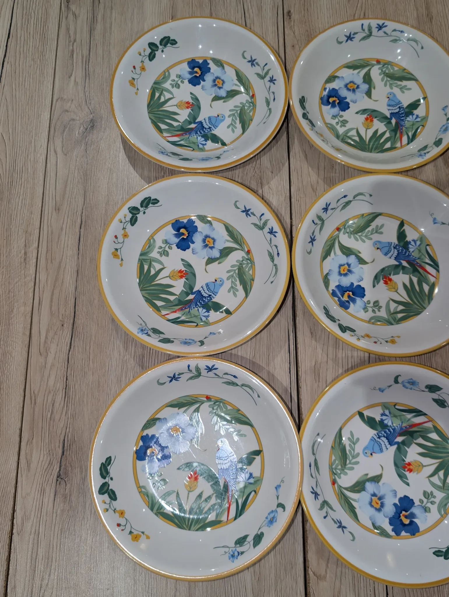 Lot 9 Deep Plates Porcelain Japan ARA S 933 Parrot & F Decor