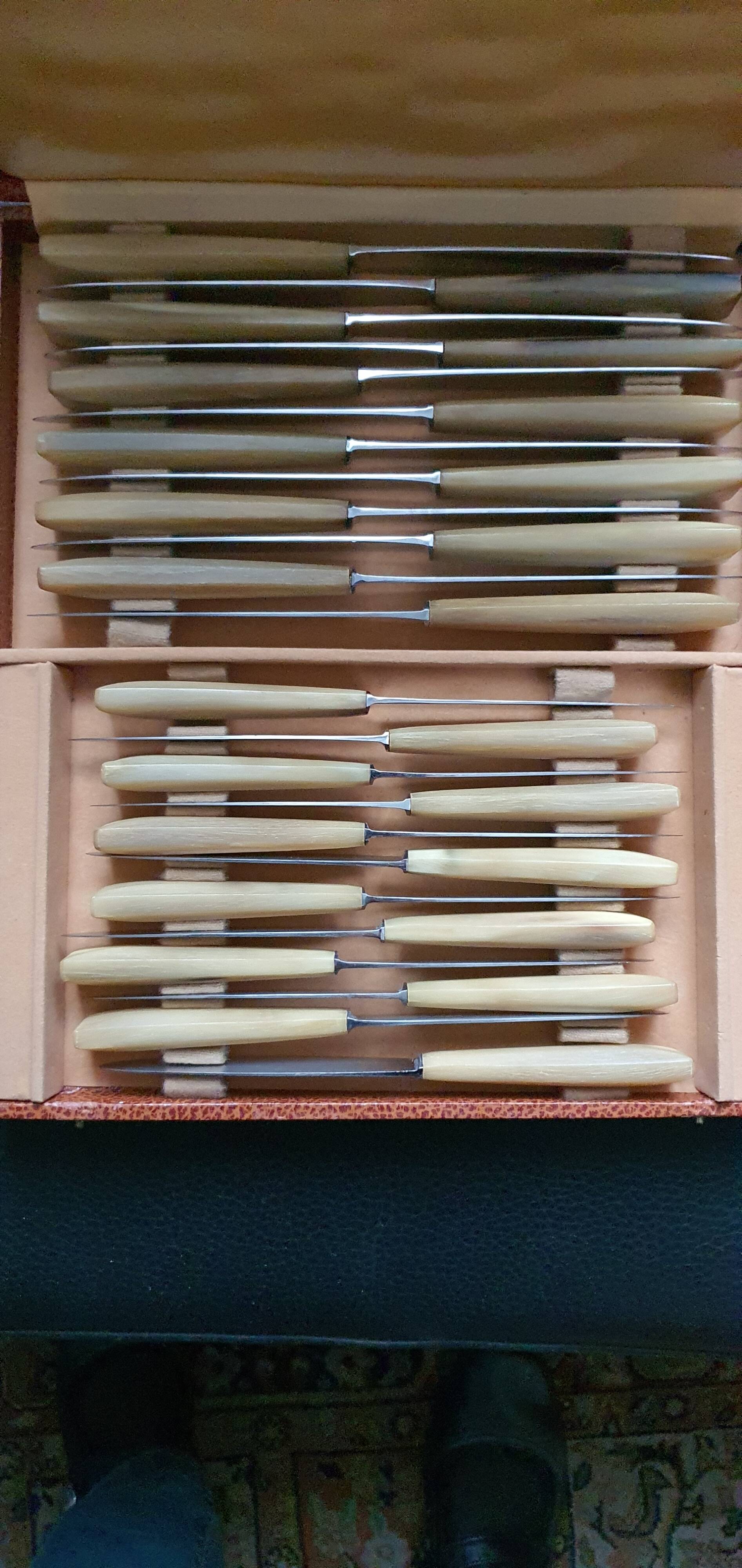Box of 24 horn and stainless steel knives