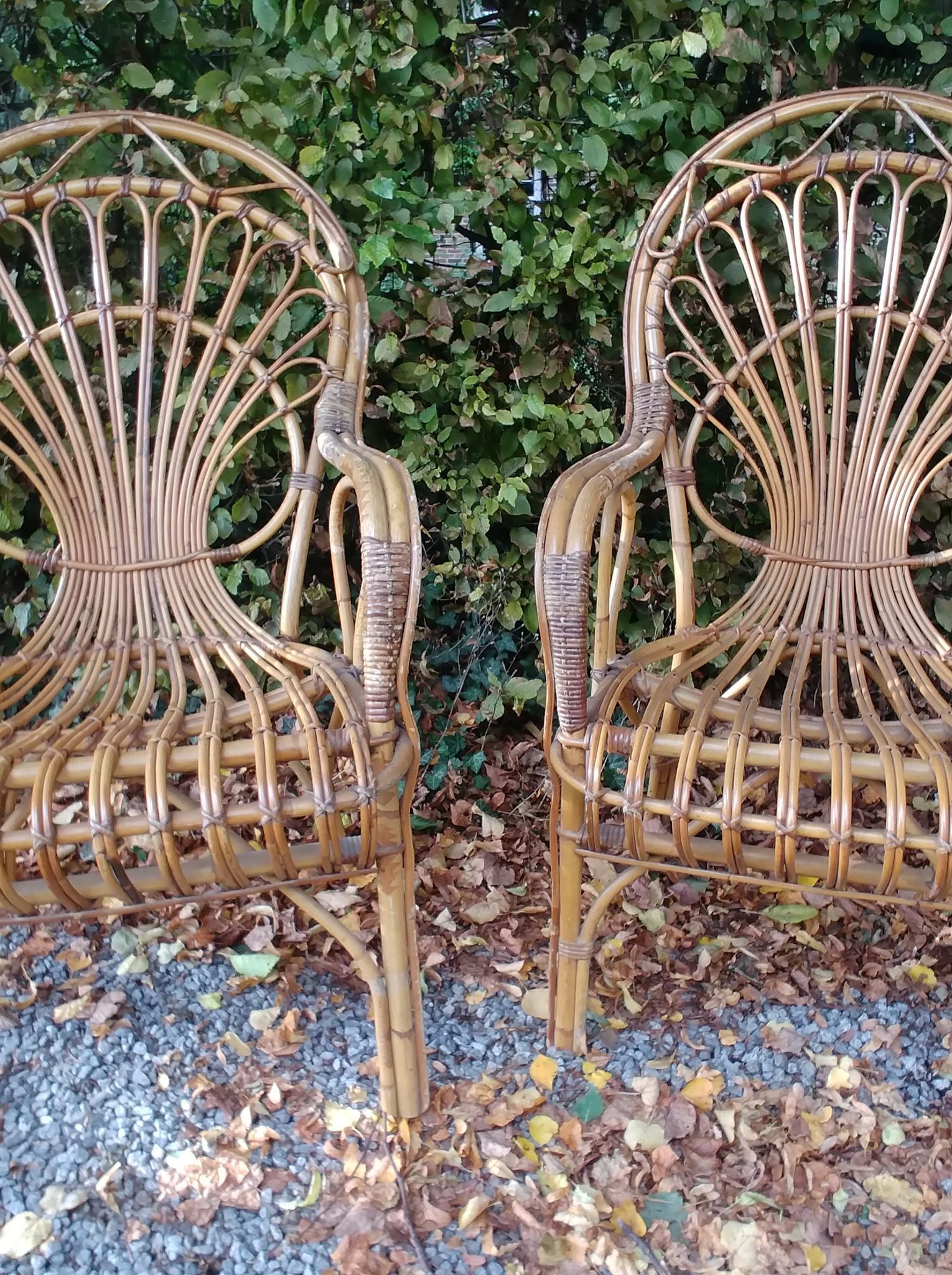 Pair of rattan chairs - 1970