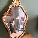 Shell mirror