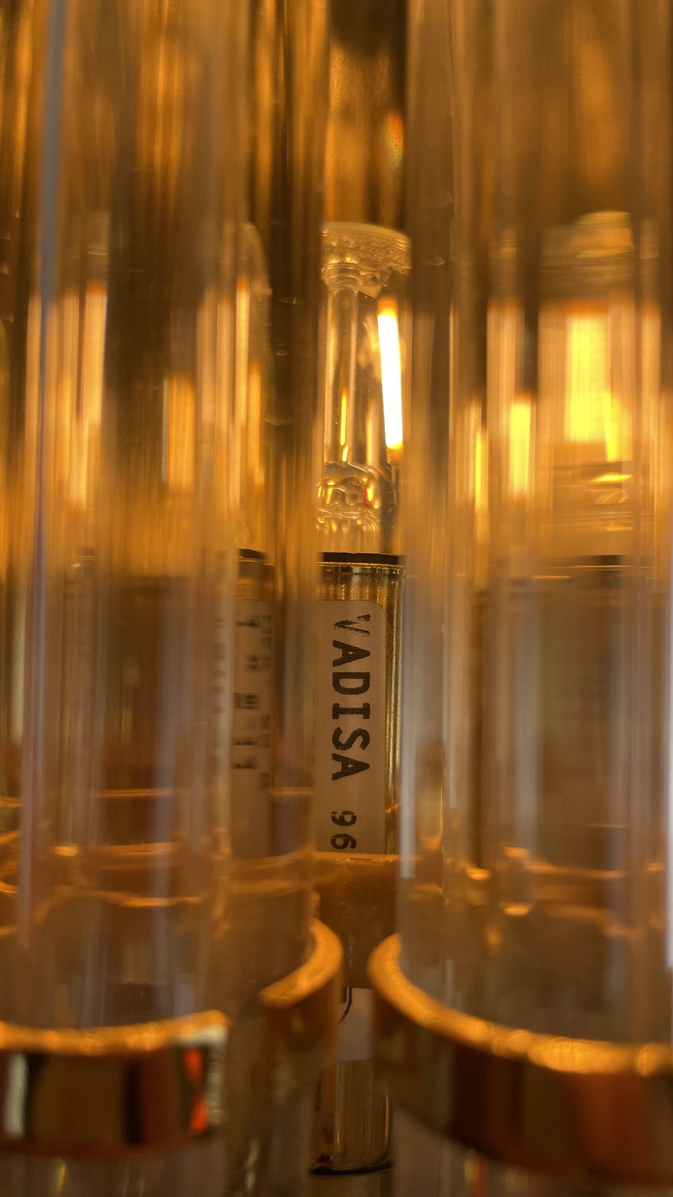 Pair of Hollywood Regency Sconces by Vadisa, 1980s