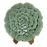 Plat Charolles