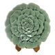 Plat Charolles