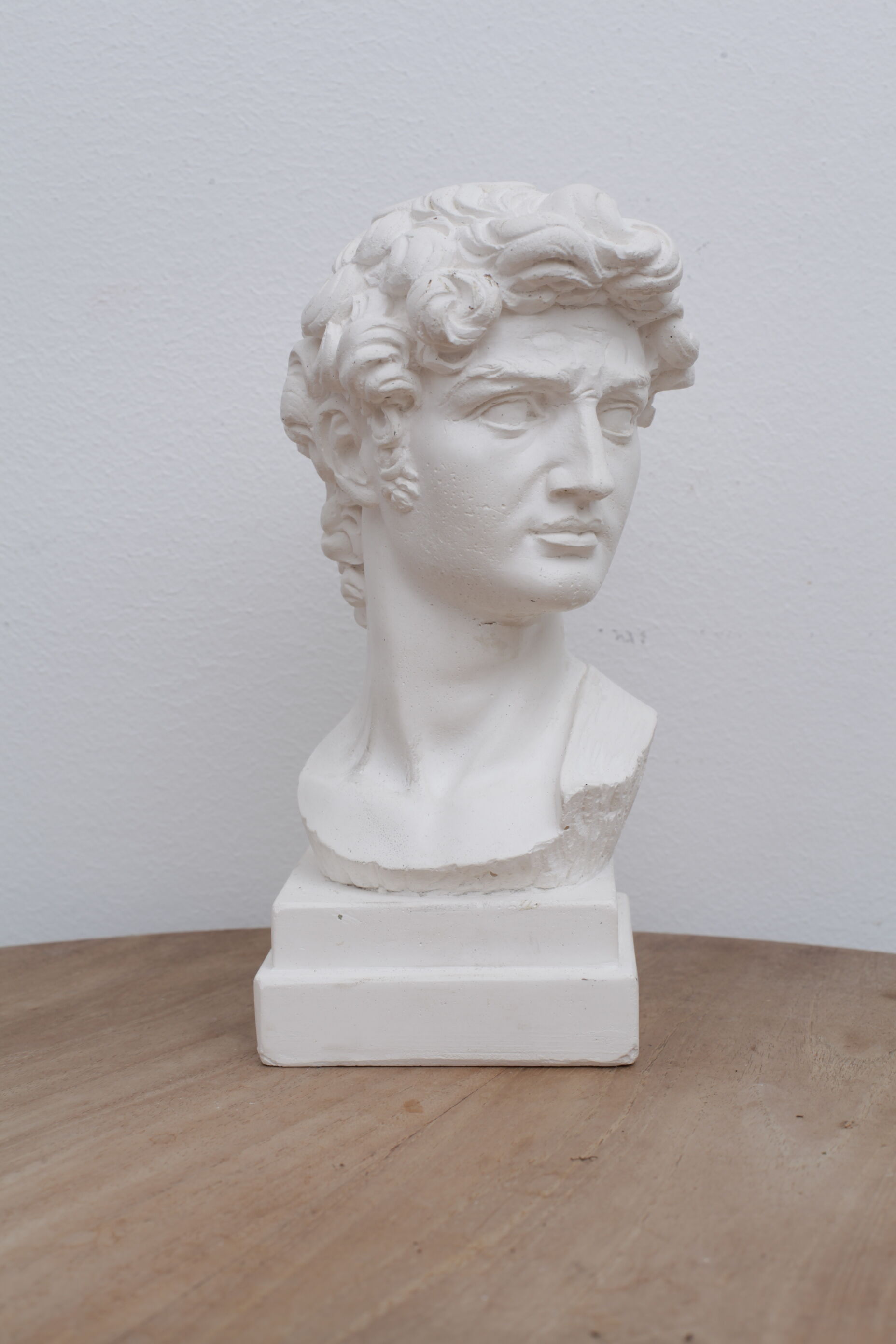 David head in waxed white plaster