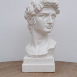 David head in waxed white plaster