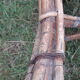Set 2 rattan chairs 1900