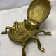 Empty pocket scarab