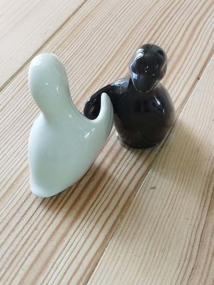 Duo de salières pingouins noir et blanc
