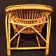 Adult rattan shell armchair
