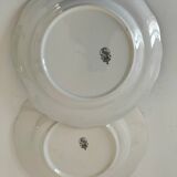 12 antique floral plates bistro & guest table style