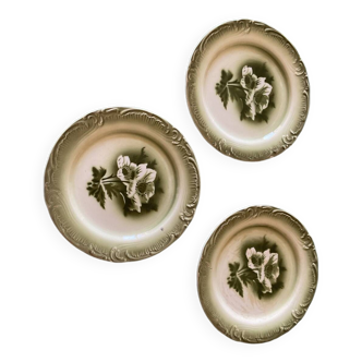 Set of 3 dessert plates